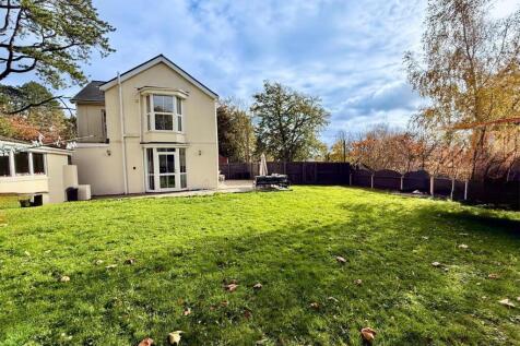 20251027_135411000_iOS 6.jpg