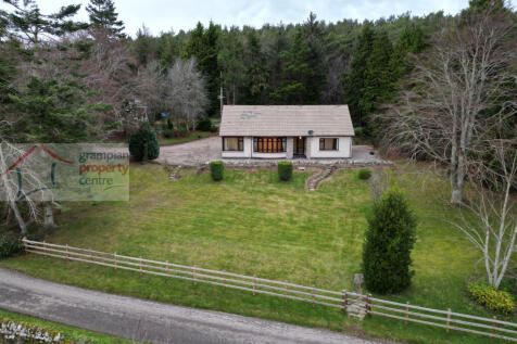 dji_fly_20251213_194840_22_1765791524637_photo