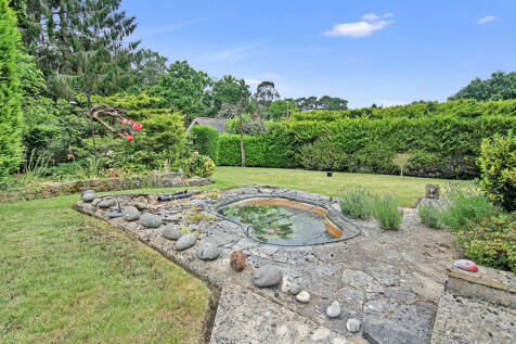 Garden and pond