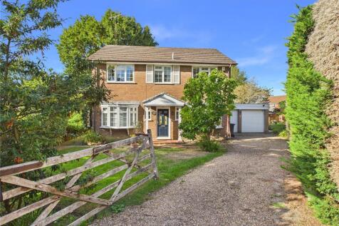 Picture 20