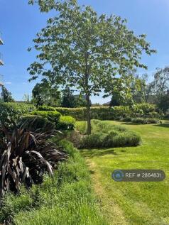 Communal Gardens 