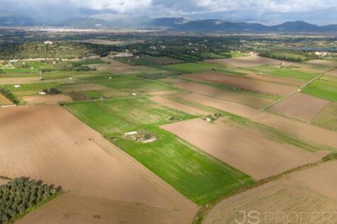 Exclusive countryside plot with approved villa project between Muro and Santa Margalida