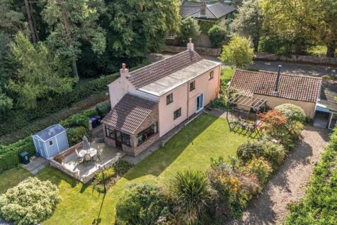 Elevated Garden 1.jpg