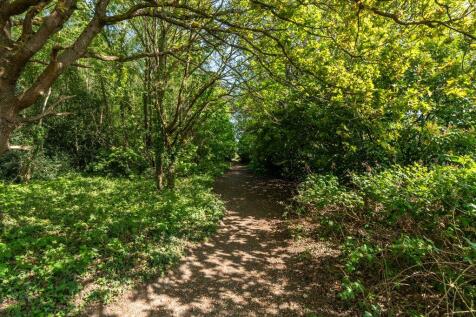 West Moors Forestry