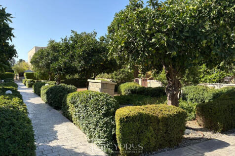 Property Image 39