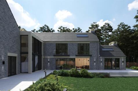 Kimwood_Camera 02_Day.jpg