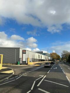 trade roadside pic.jpg