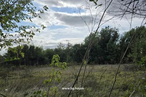 Wide view of a grassy field bordered by trees under a partly cloudy sky