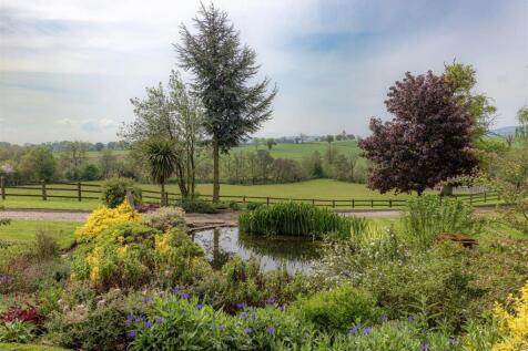 The Dairy Farm-1.jpg