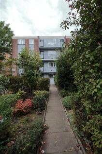 Eden Harper Kings Avenue