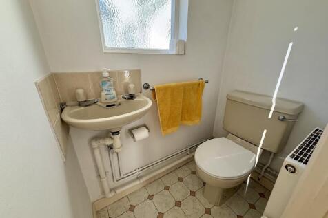 IMG 0832 T202602191805.jpeg