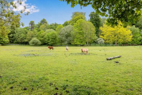 Property Image 34