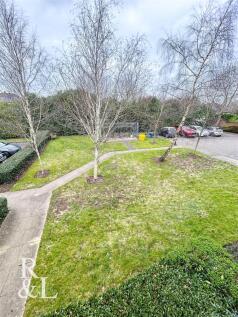 64 Greenock - Communal Garden.jpg