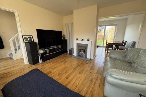 Image00013  Medium  T202503031723.jpeg