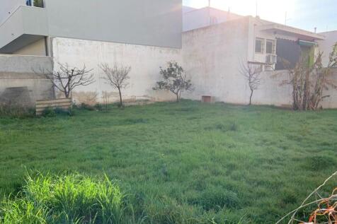 View of the plot