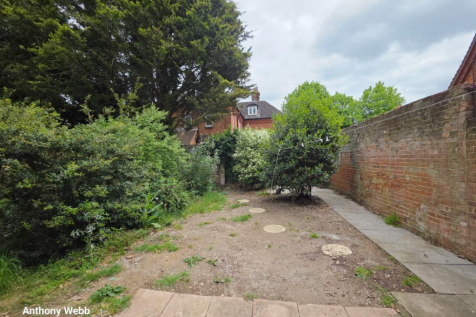 shared garden