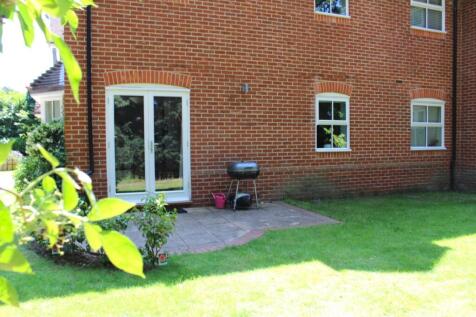 Patio Area
