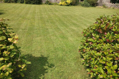 Property Image 60