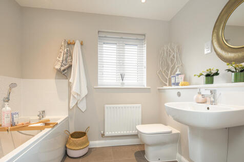 B-VISE-Spruce-YAPTV-20-014