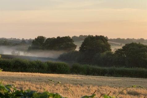 Rear view sun on fields.jpg