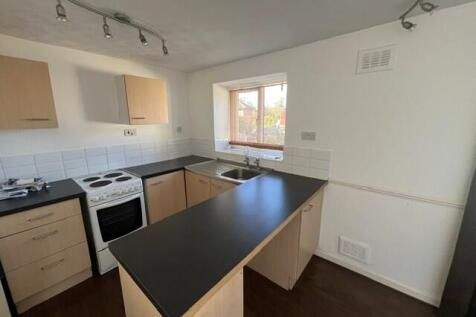 Kitch T202610161602.jpg