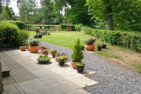 Terrace In Summer