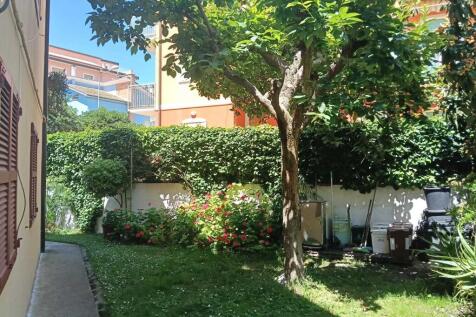 WhatsApp Image 2025-