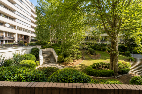 Communal garden view