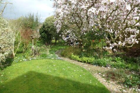 garden photo.jpg