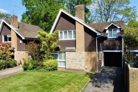 dji_fly_20250428_143504_456_1745847409400_photo_op