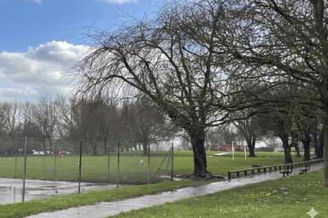 Park Views adjacent To The Property: