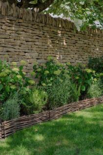 294482 - _A747543.jpg