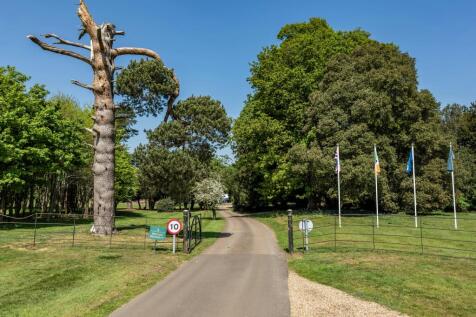 Tyttenhanger Park51.jpg
