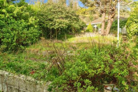 rear garden and workshop