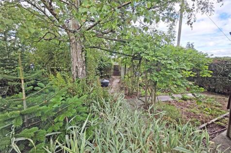 Veg Garden 2