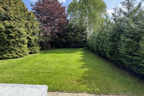 Garden with lawn