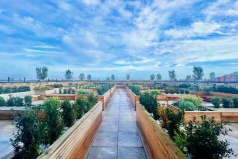 Roof terrace