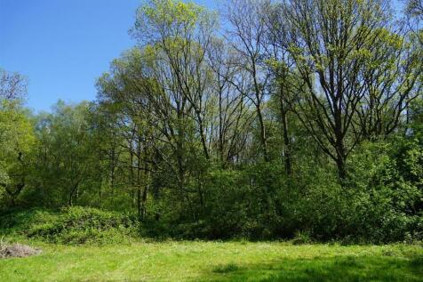 DSC01789.JPG