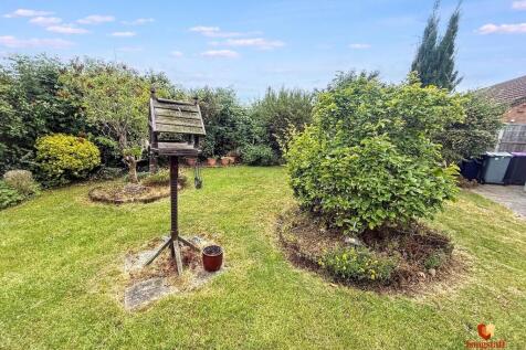 Garden 3