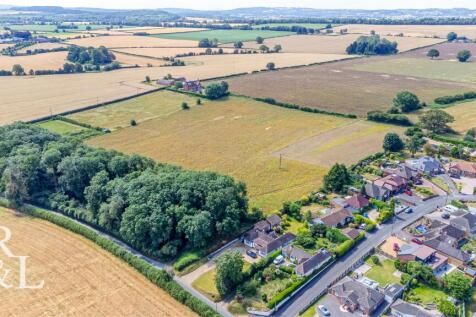 DJI_0515.jpg