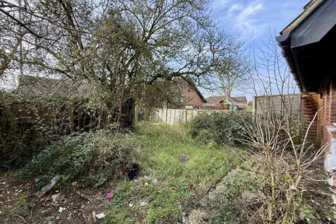 IMG 1085 T202602231616.jpg