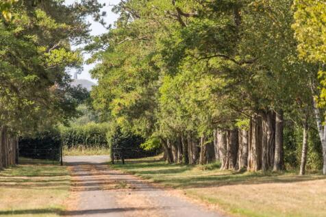 Glastonbury Tor from the driveway