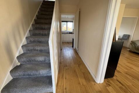 Image00009  Medium  T202503031723.jpeg