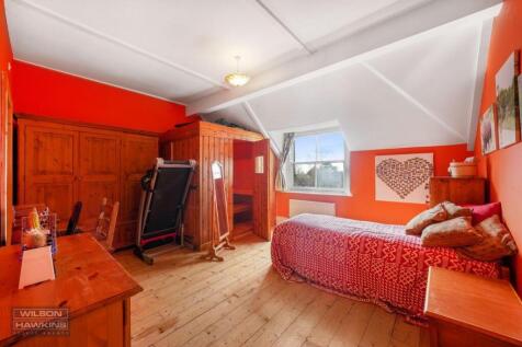 Holm Oak, Mount Park Avenue - 8uoSi0e66y5r6dCgxSl7