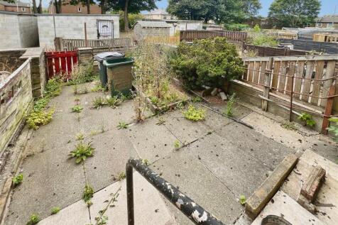 Rear Yard