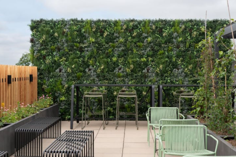 Terrace.png