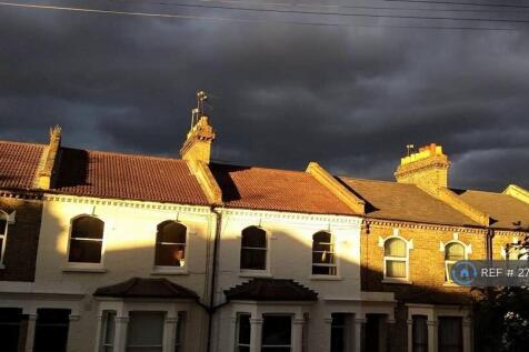 Catches Evening Sun.