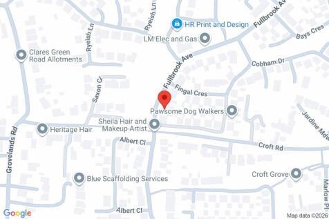 Google Maps Image