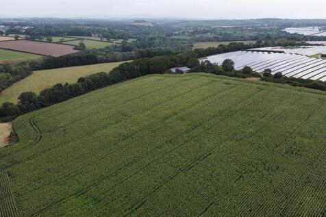 dji_fly_20250811_102812_289_1754904580106_photo_op