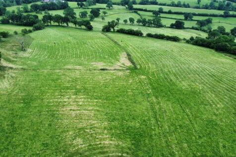 dji_fly_20240709_164024_454_1720539732842_photo_op